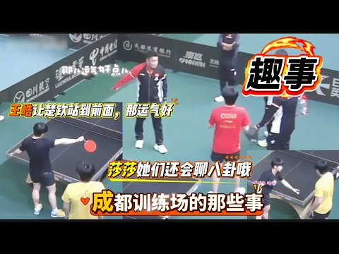 趣事｜莎莎楚钦成都训练馆的趣事分享｜原来她们也会聊八卦的哦，好可爱｜莎莎比赛焦灼，王皓让楚钦站到前面，那地方运气好点儿｜莎莎会喊楚钦猪头，也会陪他练习大角度👍🦁🦈