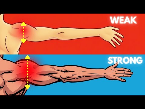 The Only 4 Exercises That Transformed My Shoulders Forever – And Made Them Look Wider & More Defined