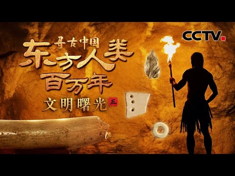 古人类住宅好讲究！13万年前的“灵魂画手”在象牙上创作，福建洞穴里惊现“精装修” ？《东方人类百万年·文明曙光》| CCTV「寻古中国」20250603