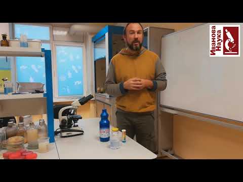 How to prevent garden diseases