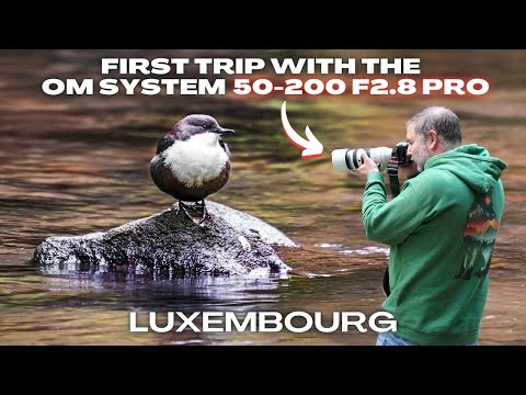 NEW OM System 50-200 F 2.8 PRO First Field Test in Luxembourg!
