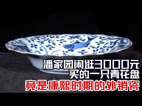 潘家园闲逛买的一只青花盘,康熙时期的外销瓷,价值3000元,没买亏#拍宝 #鉴宝 【北京广播电视台财经频道】