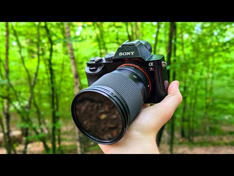 Sony a7r in 2026 Review