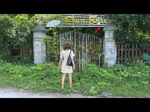 What Made a Successful Businesswoman Spend $50,000 on an Abandoned Cabin to Live in and Clean Up