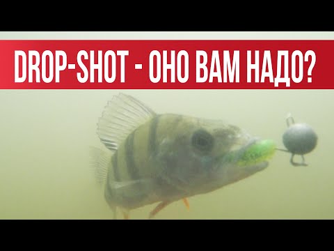 DROP-SHOT- Подробный обзор. Подводные съемки. Практика на водоёме | Рыбалка с Fishingsib