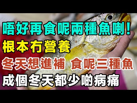 呢兩種魚唔好再食喇，冇乜營養㗎，想大補身子，食呢三種魚，可以提高抵抗力，冬天就無咁易病！#黃花魚 #DHA #提升免疫力 #蛋白質 #清蒸石斑 #家常便飯 #煮食心得 #魚生 #刺身 #點樣煮魚先好食