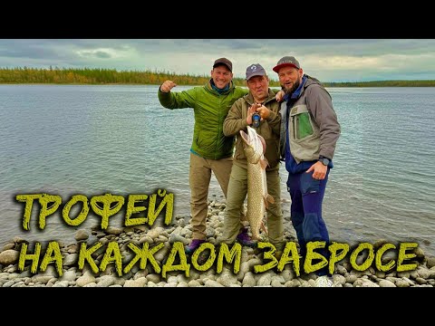 РЫБАЛКА НА СЕВЕРЕ.  ОГРОМНЫЕ ЩУКИ С КАЖДОГО ЗАБРОСА.  ПУТЕШЕСТВИЕ НА  ПЛАТО ПУТОРАНА. ТАЙГА И ТУНДРА