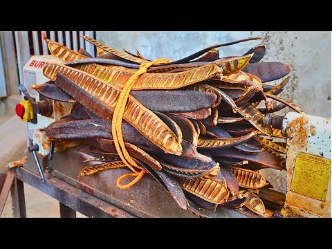 Woodworking = Summer creativity