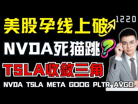 Nvidia's stock price surged; is this a dead cat bounce or has it finally bottomed out?