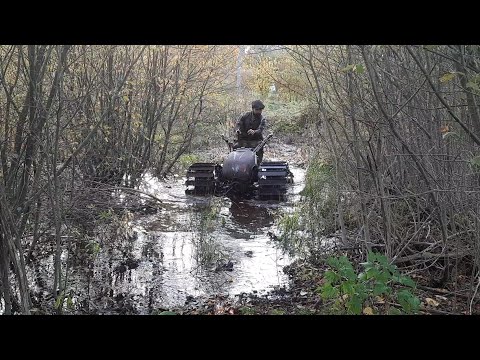 Forest-Bear # Part 2.  Everyone should own one!