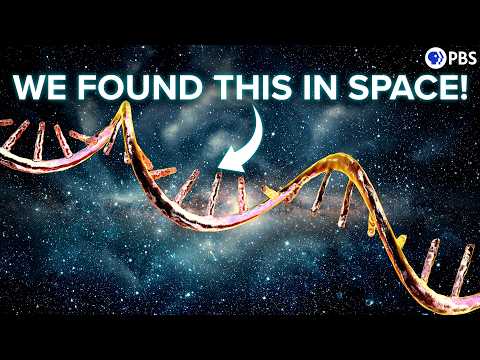 Your DNA's Codes Are (Probably) From Outer Space