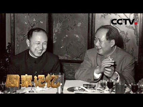 自请“降职”的两弹一星元勋钱学森：“中国人怎么不行啊？中国人比他们矮一截“？20190416 | CCTV中文国际《国家记忆》