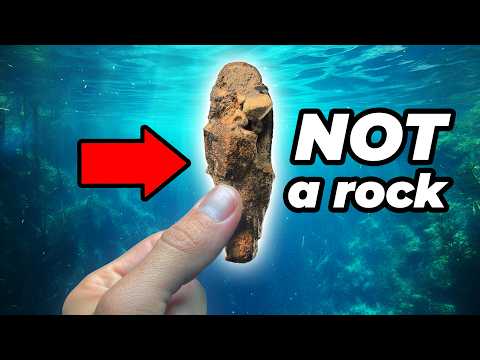 I Can't Believe I Almost Threw This Away...