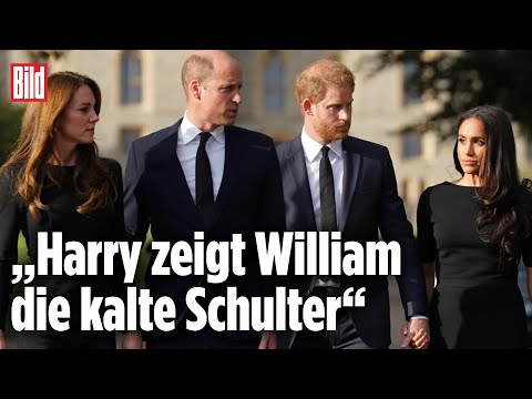 William will Versöhnung der „Fab Four“: Eiszeit im englischen Königshaus | Körpersprachen-Experte