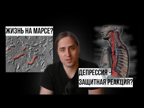 ЖИЗНЬ на МАРСЕ / ПОЛИВАГАЛЬНАЯ гипотеза ДЕПРЕССИИ [Владимир Алипов]