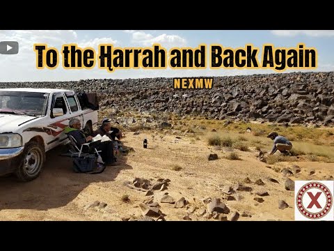 To the Ḥarrah and Back Again | OSU grad students discuss epigraphic fieldwork