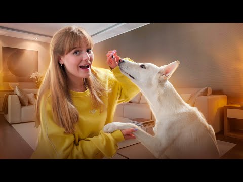 У МЕНЕ З’ЯВИВСЯ ПЕС. Пешка