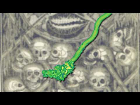 The Mystery of the Missing Medieval Plague