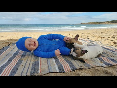 The Dogs Screamed for 4 Hours. She Didn't Listen. Then the Ocean Came