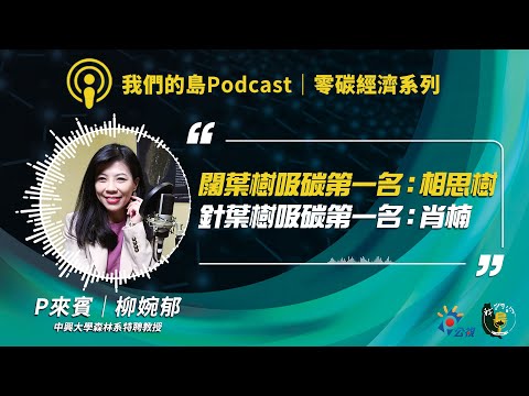 【零碳經濟6】森林碳匯是什麼？種樹也加入碳交易市場？｜ft.中興大學森林系特聘教授柳婉郁｜我們的島Podcast有影版 @EP.97