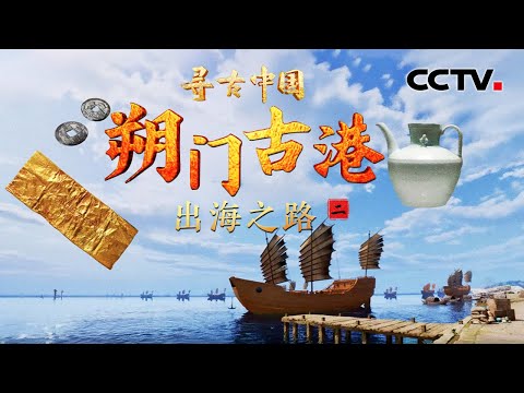 高科技助力北宋古沉船“搬家”！珍贵文物还原海上丝绸之路航线《朔门古港·出海之路》| CCTV「寻古中国」20260412