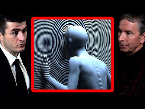 Humans are detached from reality | Donald Hoffman and Lex Fridman