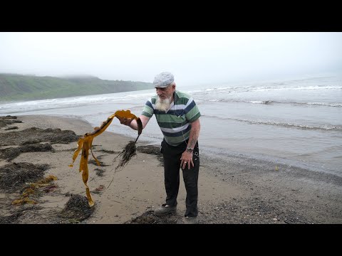 Слезы Карафуто. На Сахалине 115 деревень подлежат ликвидации. Фильм из серии "Отшельники России"