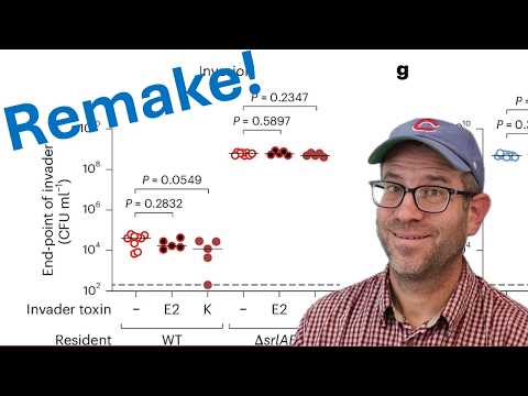 Remaking a jittered plot with P values from Nature Microbiology in R with ggplot2 (CC389)