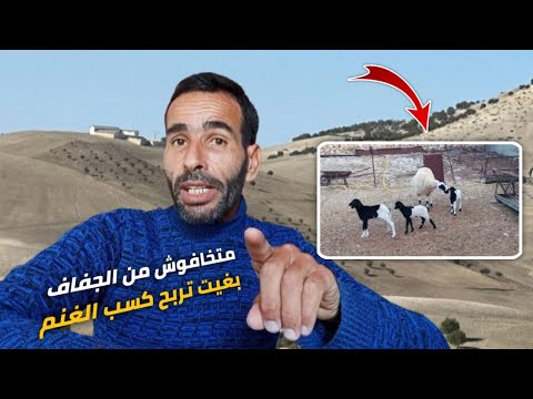 نصيحة من واحد حريف كسب النعجة: هاعلاش تربية الأغنام مشروع ناجح ومربح،؟🐏💰