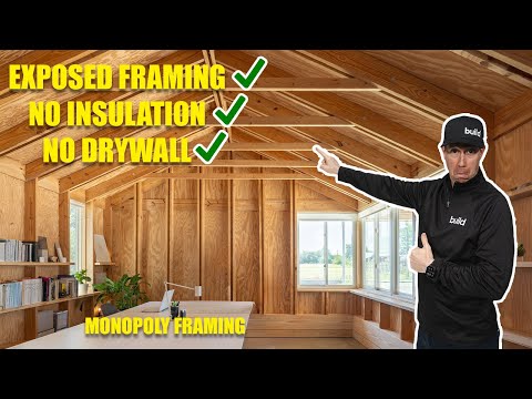 Exposed Monopoly Framing and NO INsulation - this small office Build is spectacular!