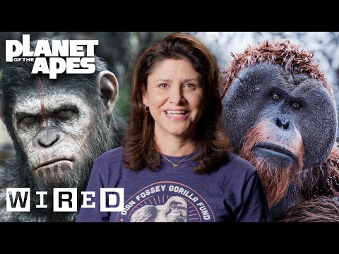 Every Ape in Planet of the Apes Explained | WIRED