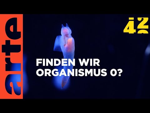 Woher kommt das Leben? | 42 - Die Antwort auf fast alles Reupload | ARTE