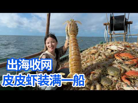 出海收网大丰收！皮皮虾蓝花蟹装满一船，现做椒盐皮皮虾直接实现自由！# 蓝花蟹 #出海日常