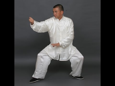 杨氏太极拳十字手 十字腿 退步跨虎推手，技击及练法 Yang Style Taichichuan Push Hands, Martial Arts and Practice