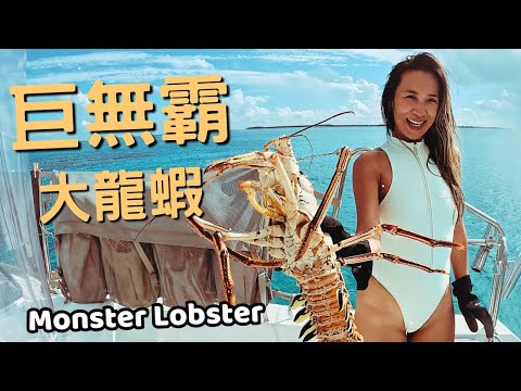 Monster Lobster On the Grill! The Biggest Lobster We’ve Ever Caught