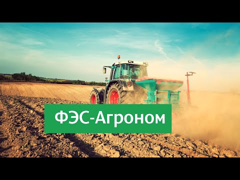 Озимые PRO. Основы питания озимой пшеницы осенью, стратегия на весну