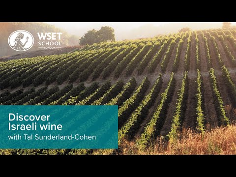 Discover Israeli wine with Tal Sunderland-Cohen