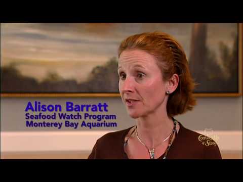 Ocean's Apex Predators: Rethinking Our Top Seafood Choices