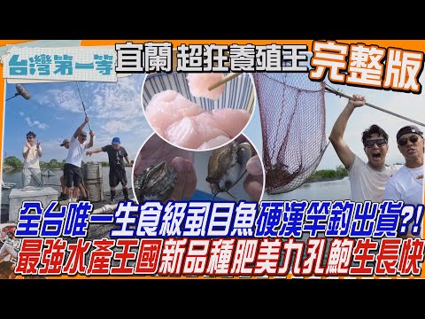 [全新] 宜蘭【全台唯一「生食級虱目魚」出貨一尾一尾釣？高檔生魚片有"午仔魚"風味/「最強水產王國」"新品種九孔鮑"逆境養殖更強大！肉質肥美、生長快】│2025.09.21│《台灣第一等》完整版