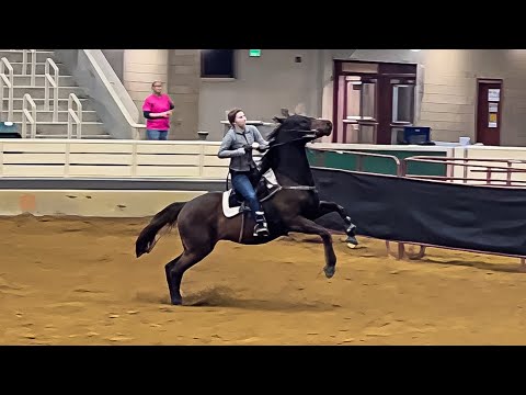 Barrel Racing Horse is getting Out of Control! Can I help?