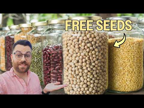 The Easiest Crops To Grow For Free