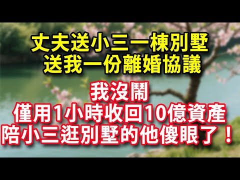 丈夫送小三一棟別墅送我一份離婚協議我沒鬧僅用1小時收回10億資產陪小三逛別墅的他傻眼了#人生感悟 #健康 #情感故事 #婚姻#老年生活 #家庭 #故事  #生活經驗 #為人處世#上了年紀該明白的事