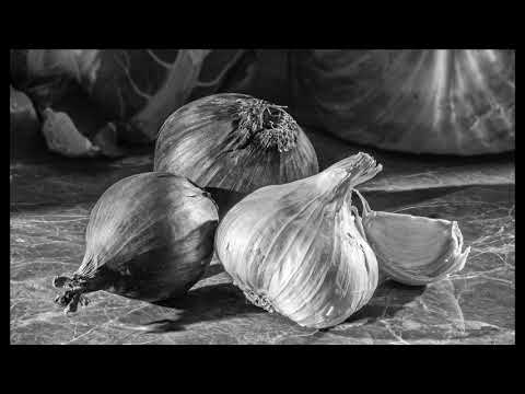 Creating a Digital Negative