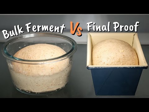Cold Bulk Fermentation vs Cold Proofing Compared I Which is Better?