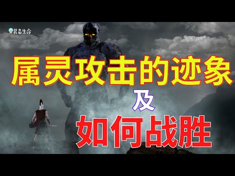 生命智慧 311 【你被属灵攻击的迹象及如何战胜】怎么知道面对的是一般生活困难还是被攻击呢 l 装备生命