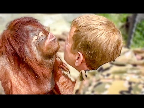 Это НАДО ВИДЕТЬ! Дана так нежно ОБДУВАЕТ лицо Олега Зубкова и тут же становится Бабой Ягой в ступе))