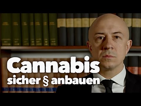 Growing cannabis legally - Tips for legal cultivation