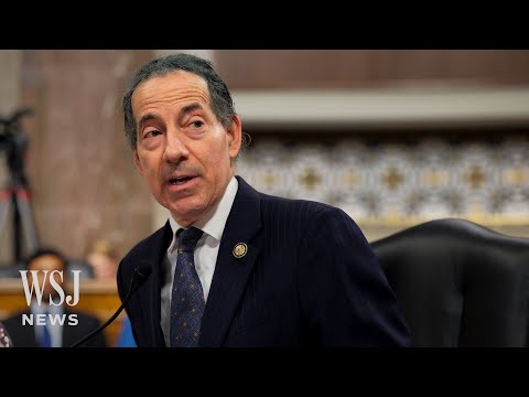 Rep. Raskin: Fallout of Trump and Musk ‘Was in the Stars’ | WSJ News