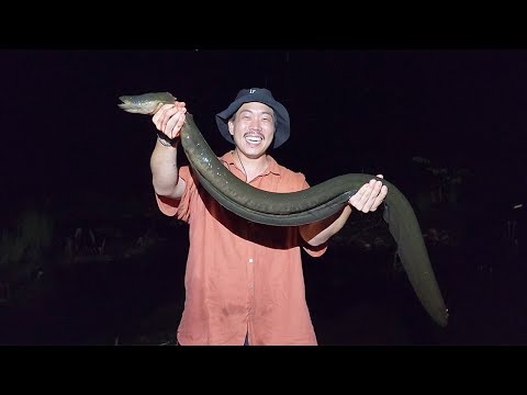 It can even knock people out! Let's catch and eat a giant electric eel from the Amazon River.