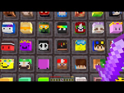 I Collected EVERY Player's Head